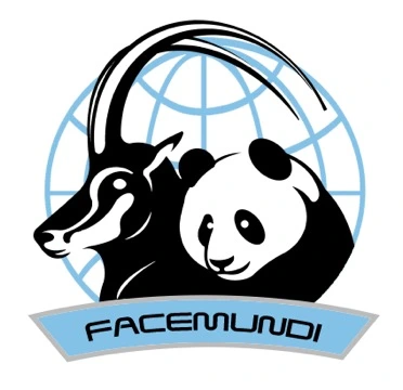 Facemundi